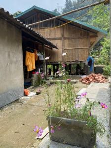a garden with flowers in front of a house at Bikki jungle homestay in Ha Giang