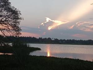 Příroda nedaleko penzionu