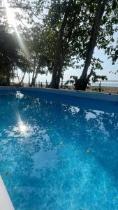 una piscina azul con árboles en el fondo en Pura Vida Macaw Paradise en Jacó