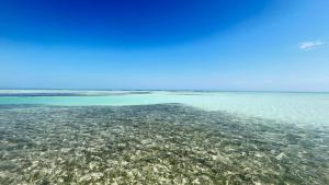 Fotografie z fotogalerie ubytování Casa Pascale v destinaci Punta Allen