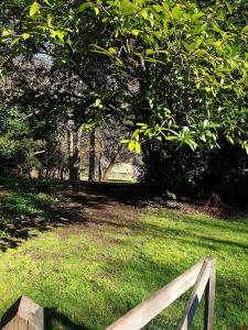 a wooden bench in a field with trees and grass at Redruth - 2 bedroom cottage situated in wandiligong in Wandiligong