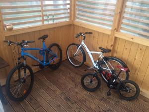 Jazda na bicykli v okolí ubytovania Apartament 'Aleks' Tykocin