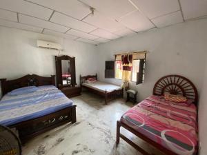 Легло или легла в стая в Donde magalis