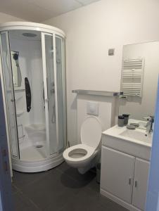 uma casa de banho com um chuveiro, um WC e um lavatório. em Duplex "La belle vue " em Entrevaux