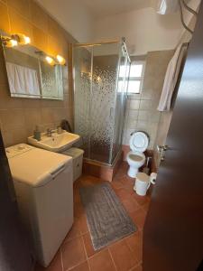 La salle de bains est pourvue d'une douche, de toilettes et d'un lavabo. dans l'établissement Εξοχική κατοικία με σοφίτα, à Chalcis