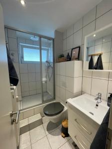 a bathroom with a shower and a toilet and a sink at AlleeStudio: ruhig und zentral in Essen