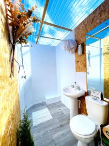 a bathroom with a toilet and a sink at CAYORETREAT LUXURY BELL TENT in Clodock