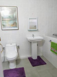 La salle de bains est pourvue de toilettes blanches et d'un lavabo. dans l'établissement Two Rooms- Mountain View Apartment with Wi-Fi, à Kohīma