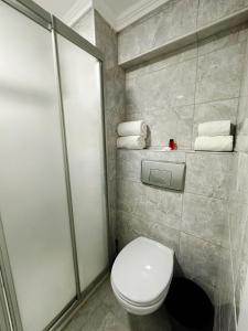 a bathroom with a toilet and a shower with towels at Antik Ipek Hotel in Istanbul