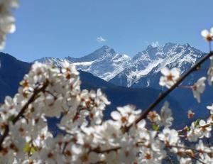 Príroda v okolí apartmánu + 37 fotografií