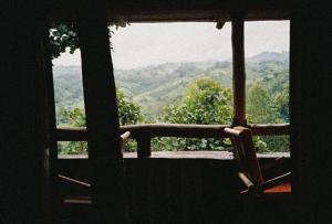 okno z widokiem na winnicę w obiekcie Bwindi My Home w mieście Kinkizi