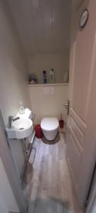 a small bathroom with a toilet and a sink at Au cœur du Mont-Dore in Le Mont-Dore