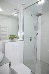 a bathroom with a shower with a toilet and a sink at Spacious and quiet, Komitas 42 in Yerevan +21 photos