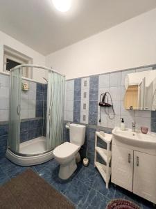 a bathroom with a toilet and a shower and a sink at Villa “Eleon” in Velyka Bihanʼ