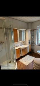 een badkamer met een douche en een wastafel bij FeWo Elisabeth am Harztor in Osterode