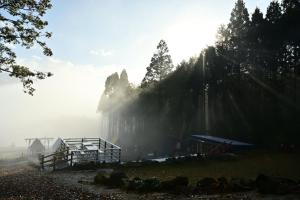 budynek na wzgórzu w mgle w obiekcie パワースポットキャンプ場 w mieście Shimoda