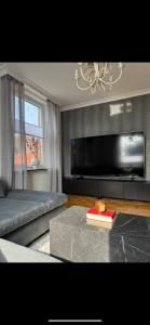 een woonkamer met een bank en een televisie bij FeWo Elisabeth am Harztor in Osterode