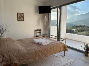 a bedroom with a bed with a large window at Rouvas Villas in Apomarmá