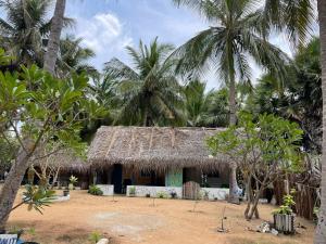 ein Haus mit Strohdach und Palmen in der Unterkunft araliya villa in Kalpitiya