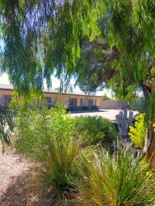 ein Gebäude mit vielen Pflanzen davor in der Unterkunft Bayview Motel in Esperance