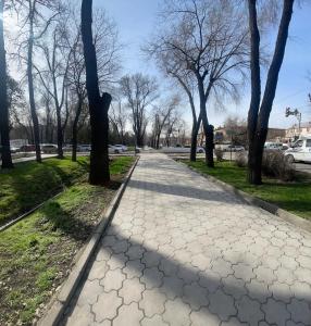 una pasarela en un parque con árboles a ambos lados en Квартира в Бишкеке, en Bishkek