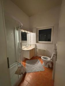 a bathroom with a shower and a sink and a toilet at Fewo Nähe Norddeich/ Nessmersiel in Hagermarsch