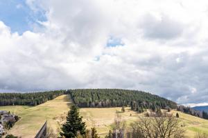 Příroda nedaleko apartmánu