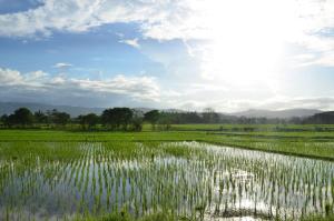 un campo de hierba con el cielo en el fondo en Paglinawan Organic Eco Farm en Molave