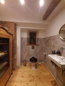 La salle de bains est pourvue de toilettes et d'un lavabo. dans l'établissement Erlebnishof Bauernhof Ferienhaus, 