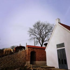 two horses standing on a wall next to a building at Erlebnishof Bauernhof Ferienhaus 