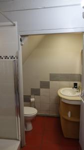 Un baño de Un grand gîte *** à Lavoûte-Chilhac