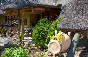 a restaurant with a thatch roof and some plants at Hakusembe River Camping2Go 