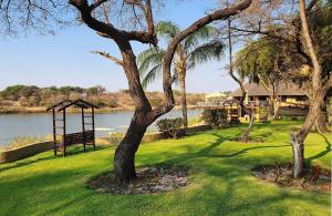 a park with a tree and a swing at Hakusembe River Camping2Go 