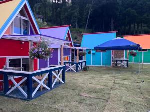 szereg kolorowych domów w ogrodzie w obiekcie パワースポットキャンプ場 w mieście Shimoda