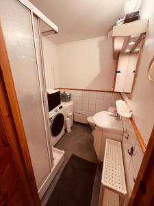 La petite salle de bains est pourvue d'une douche et d'un lavabo. dans l'établissement Leilighet midt på Solsiden, à Trondheim