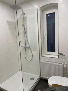 baño con ducha y puerta de cristal en Ferienwohnung, en Weitersburg