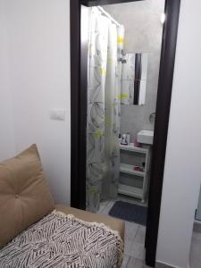 een badkamer met een bed en een douche met een wastafel bij Studio vitez in Mirijevo