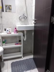 een kleine badkamer met een wastafel en een douche bij Studio vitez in Mirijevo