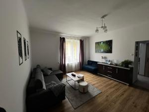 salon z kanapą i stołem w obiekcie Apartament Paprotka w mieście Skarżysko-Kamienna