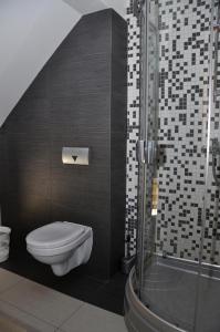 a bathroom with a toilet and a shower at Viesu nams Bezdubeņi in Sukturi