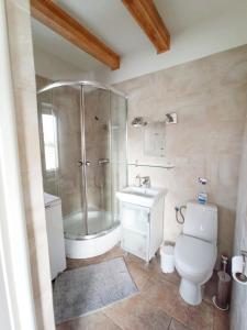 a bathroom with a shower and a toilet and a sink at Kostek in Rowy