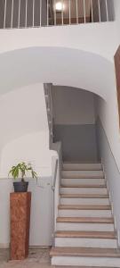 una escalera con una maceta al lado en Casa Morrone Residence, en Corato