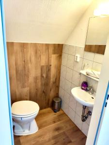 ein Bad mit einem WC und einem Waschbecken in der Unterkunft Pension Zum Burggrafen in Delmenhorst