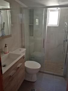 een badkamer met een douche, een toilet en een wastafel bij Triopetra hill view in Triopetra