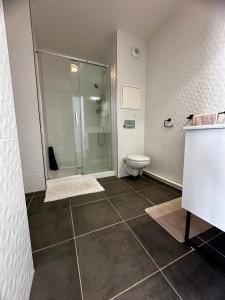 a bathroom with a shower and a toilet at Magnifique appartement à Rueil Malmaison in Rueil-Malmaison
