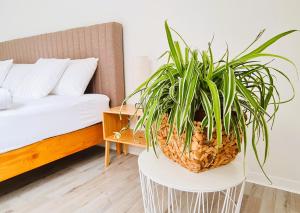 a plant on a white table in a bedroom at Apartment Nähe Airbus in Manching