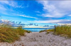 Baabe - Insel Rügen - Ostsee - Ferienwohnung في بابي: شاطئ رملي مطل على المحيط