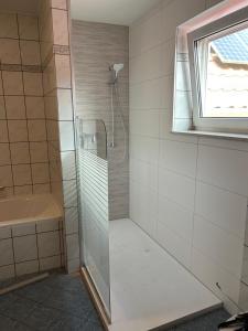 uma casa de banho com um chuveiro, um lavatório e uma janela em Landhotel Müller im Donautal em Tapfheim