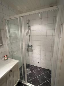 La salle de bains est pourvue d'une douche avec une porte en verre. dans l'établissement Leilighet i Uvdal med nydelig utsikt. SKI INN/UT, à Sønstebø