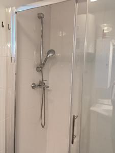 y baño con ducha y puerta de cristal. en Green oasis Deda Božo en Rovinj